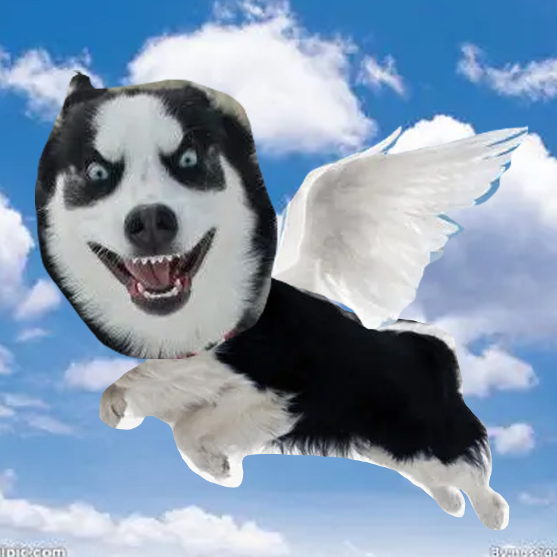 腳趾豆的個人主頁（背景預覽） - 主頁背景設(shè)置 - 站酷設(shè)計師腳趾豆原創(chuàng)素材 - 站酷ZCOOL