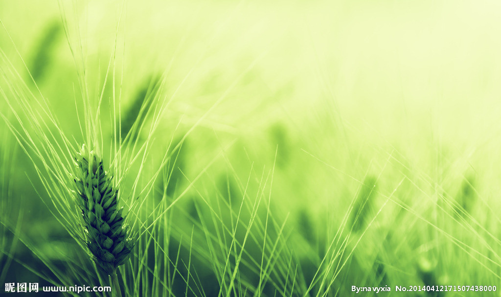 443296455的個人主頁（背景預(yù)覽） - 主頁背景設(shè)置 - 站酷設(shè)計師443296455原創(chuàng)素材 - 站酷ZCOOL