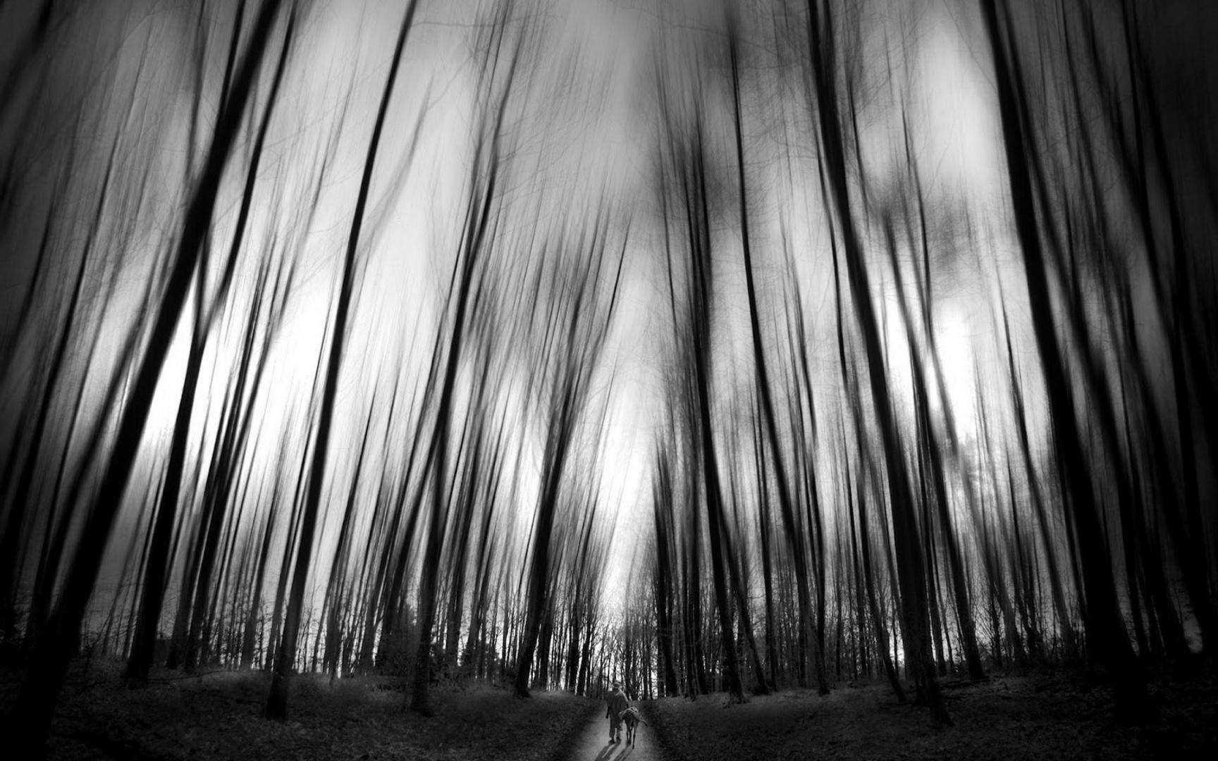 vkpopo的個人主頁（背景預覽） - 主頁背景設置 - 站酷設計師vkpopo原創(chuàng)素材 - 站酷ZCOOL