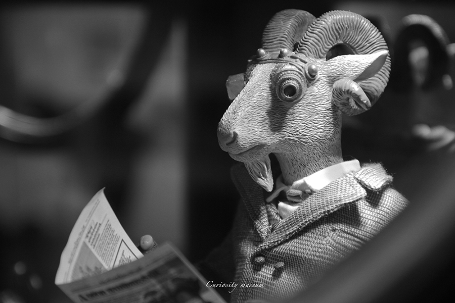 尼克程的个人主页（背景预览） - 主页背景设置 - 站酷设计师尼克程原创素材 - 站酷ZCOOL