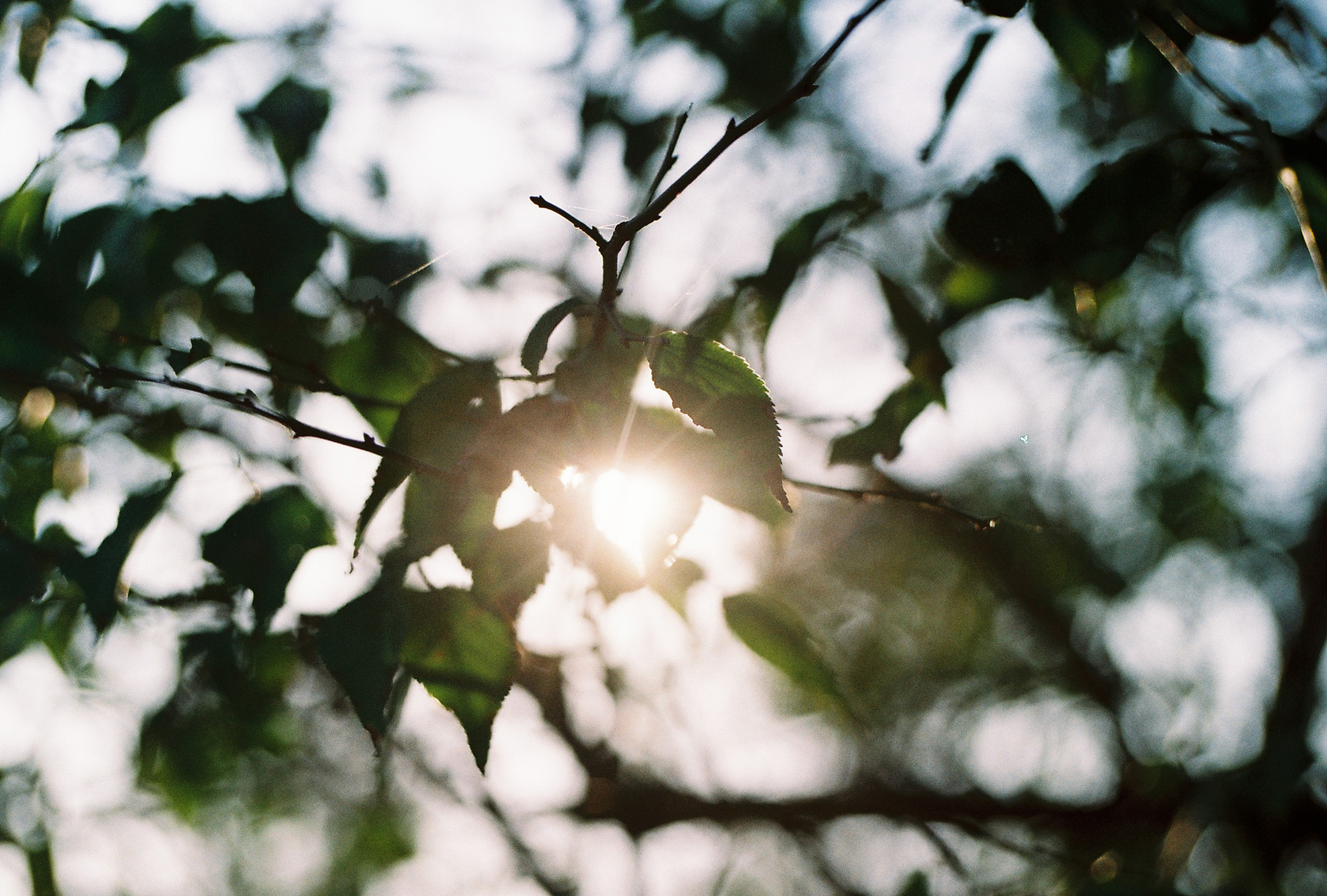 克力可凡的個人主頁（背景預(yù)覽） - 主頁背景設(shè)置 - 站酷設(shè)計師克力可凡原創(chuàng)素材 - 站酷ZCOOL