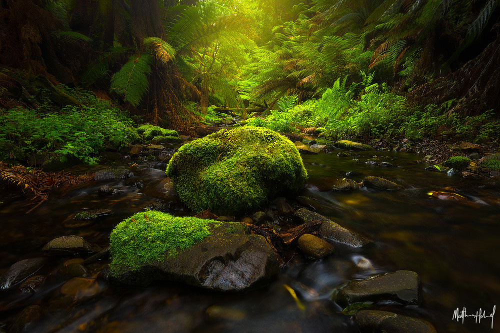 傻妞忆曾经的个人主页（背景预览） - 主页背景设置 - 站酷设计师傻妞忆曾经原创素材 - 站酷ZCOOL