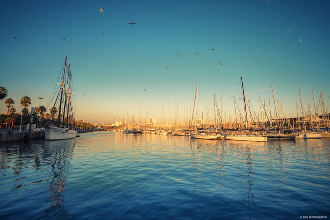 幼稚园画手的个人主页（背景预览） - 主页背景设置 - 站酷设计师幼稚园画手原创素材 - 站酷ZCOOL