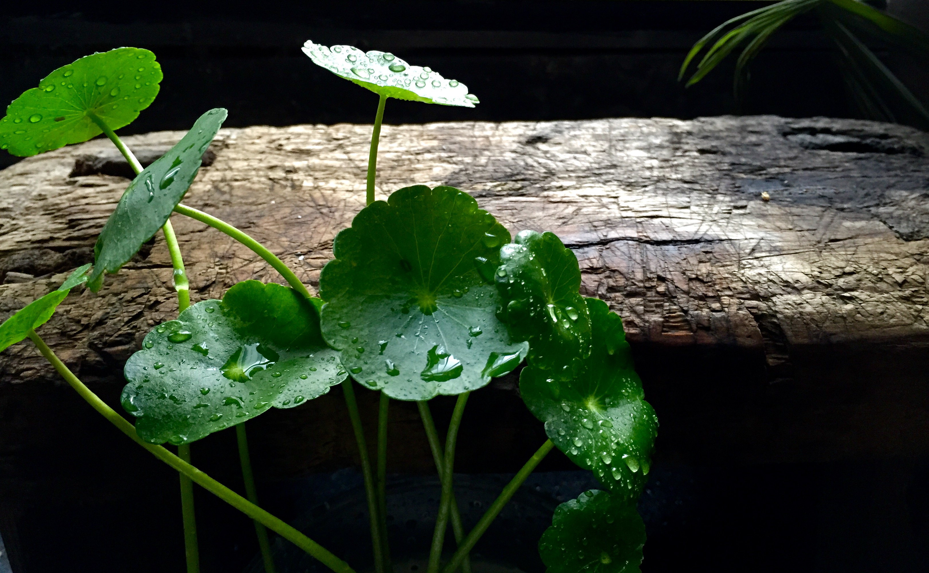 里里佩的個(gè)人主頁（背景預(yù)覽） - 主頁背景設(shè)置 - 站酷設(shè)計(jì)師里里佩原創(chuàng)素材 - 站酷ZCOOL