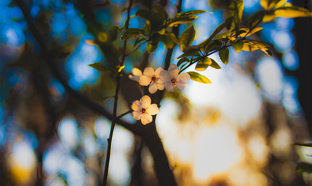 阿檀的故事的个人主页（背景预览） - 主页背景设置 - 站酷设计师阿檀的故事原创素材 - 站酷ZCOOL