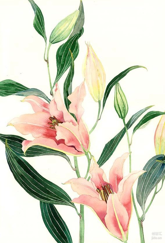 华添的个人主页（背景预览） - 主页背景设置 - 站酷设计师华添原创素材 - 站酷ZCOOL