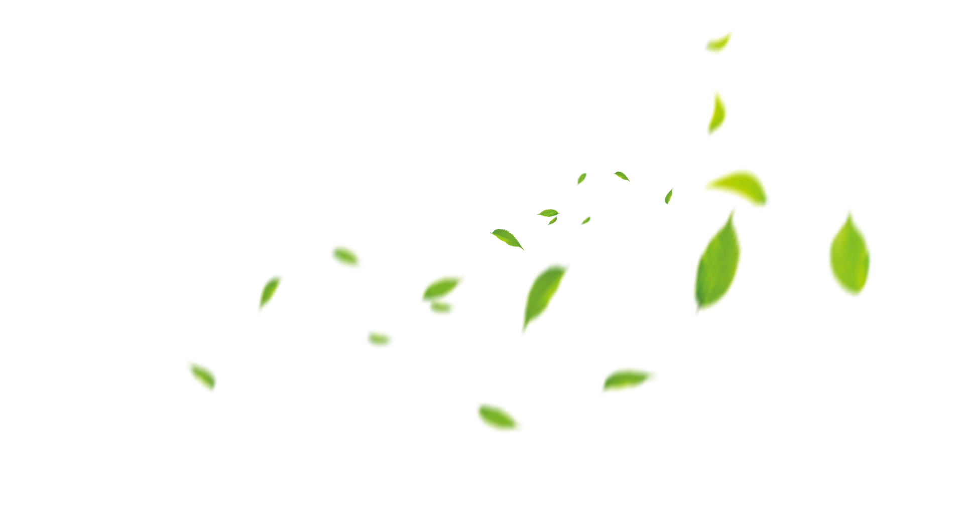 Ashley_577的个人主页（背景预览） - 主页背景设置 - 站酷设计师Ashley_577原创素材 - 站酷ZCOOL