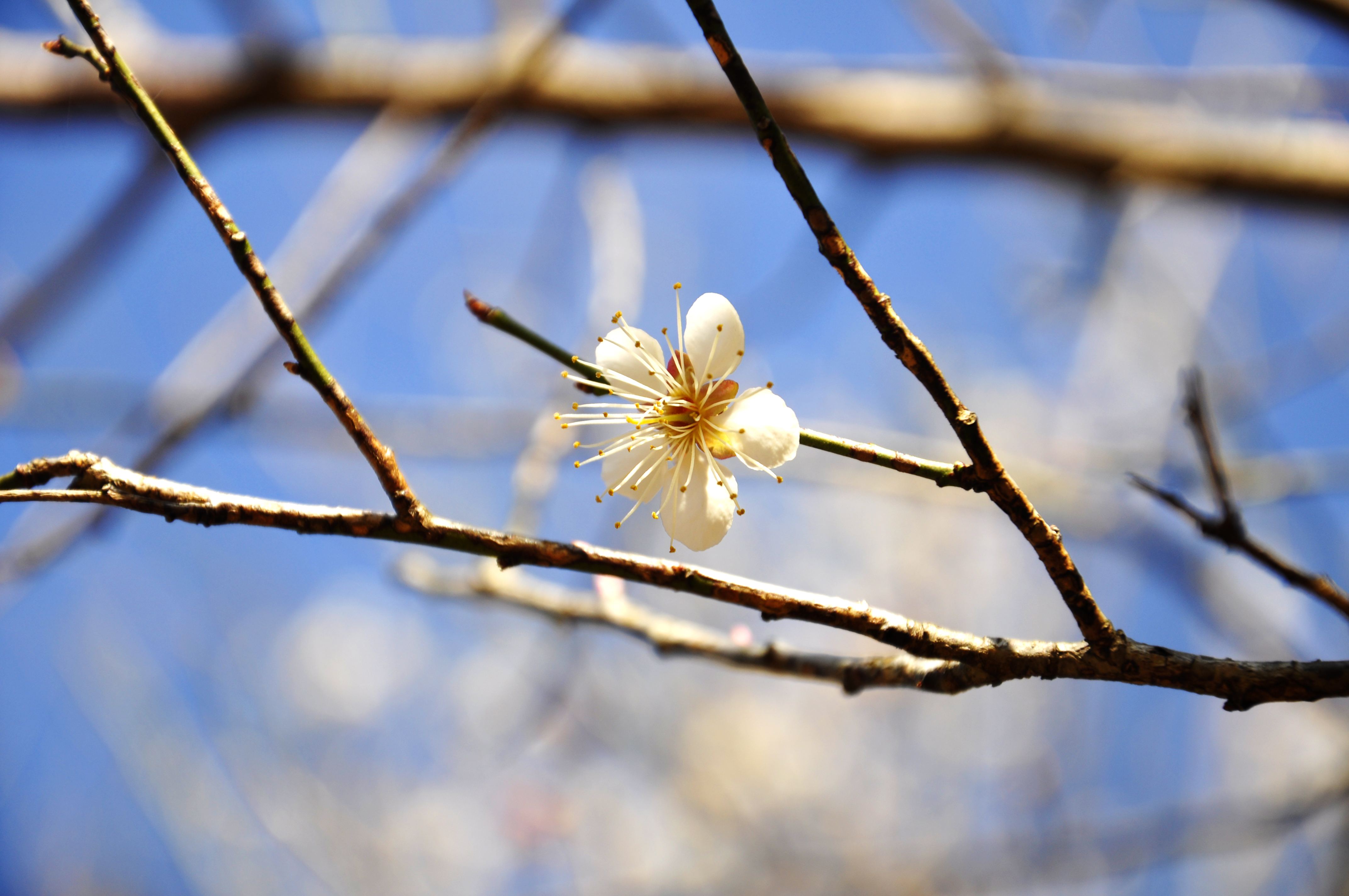 藍(lán)圖視覺(jué)的個(gè)人主頁(yè)（背景預(yù)覽） - 主頁(yè)背景設(shè)置 - 站酷設(shè)計(jì)師藍(lán)圖視覺(jué)原創(chuàng)素材 - 站酷ZCOOL