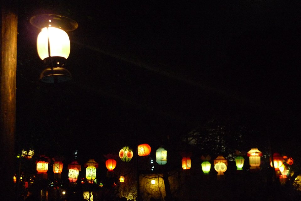 坨坨爱吃牛丼的个人主页（背景预览） - 主页背景设置 - 站酷设计师坨坨爱吃牛丼原创素材 - 站酷ZCOOL