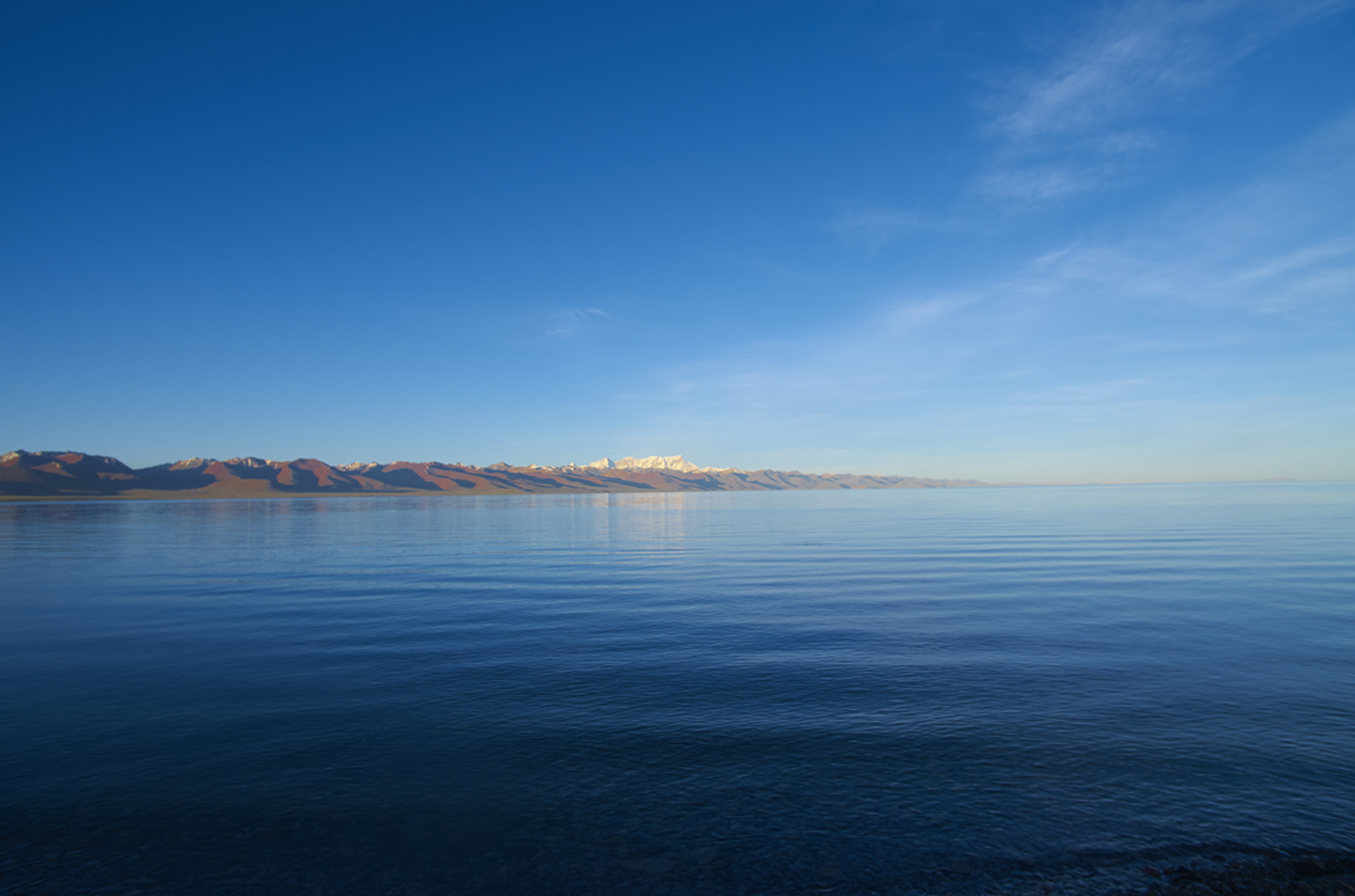 老鼠_dcy的个人主页（背景预览） - 主页背景设置 - 站酷设计师老鼠_dcy原创素材 - 站酷ZCOOL