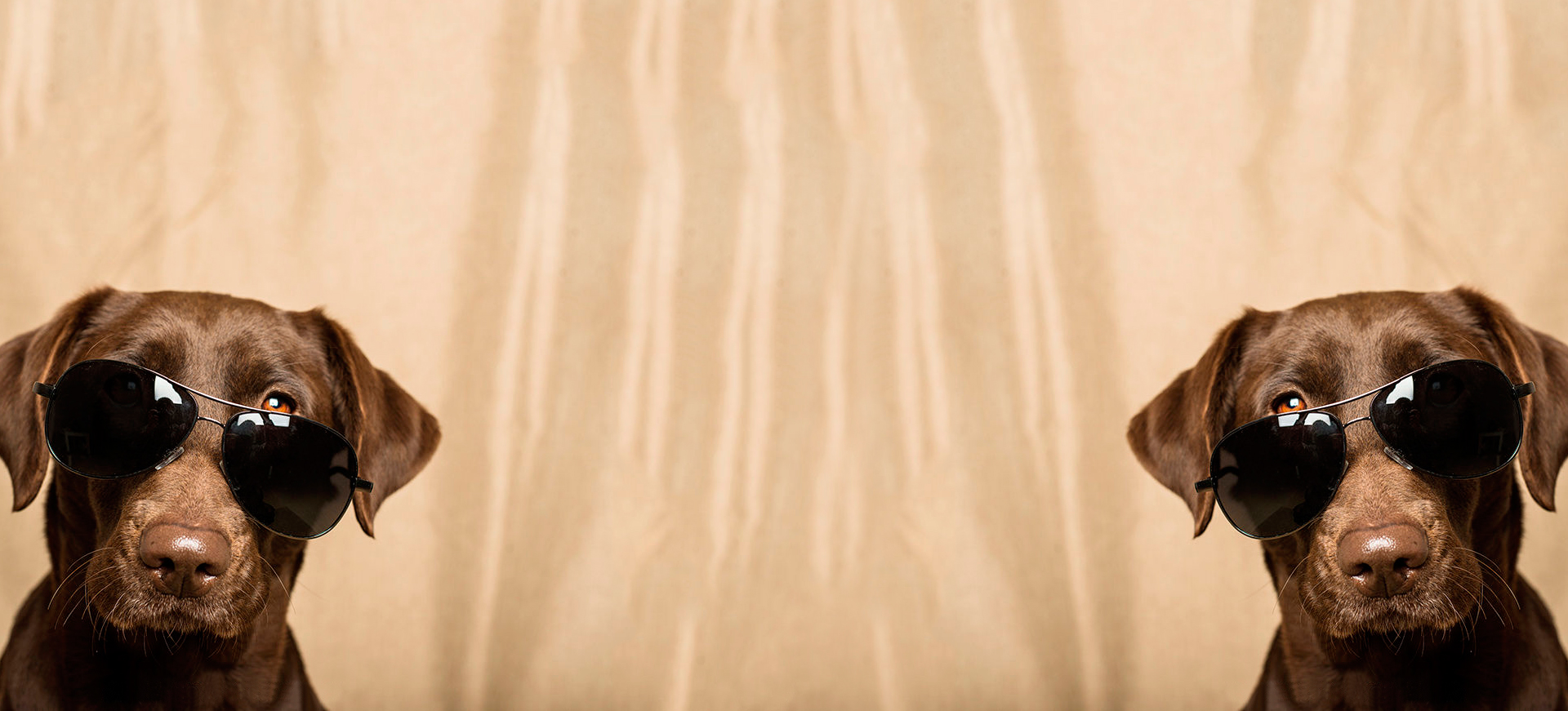 gnconan的个人主页（背景预览） - 主页背景设置 - 站酷设计师gnconan原创素材 - 站酷ZCOOL