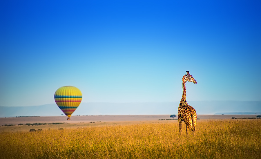 明琪的个人主页（背景预览） - 主页背景设置 - 站酷设计师明琪原创素材 - 站酷ZCOOL