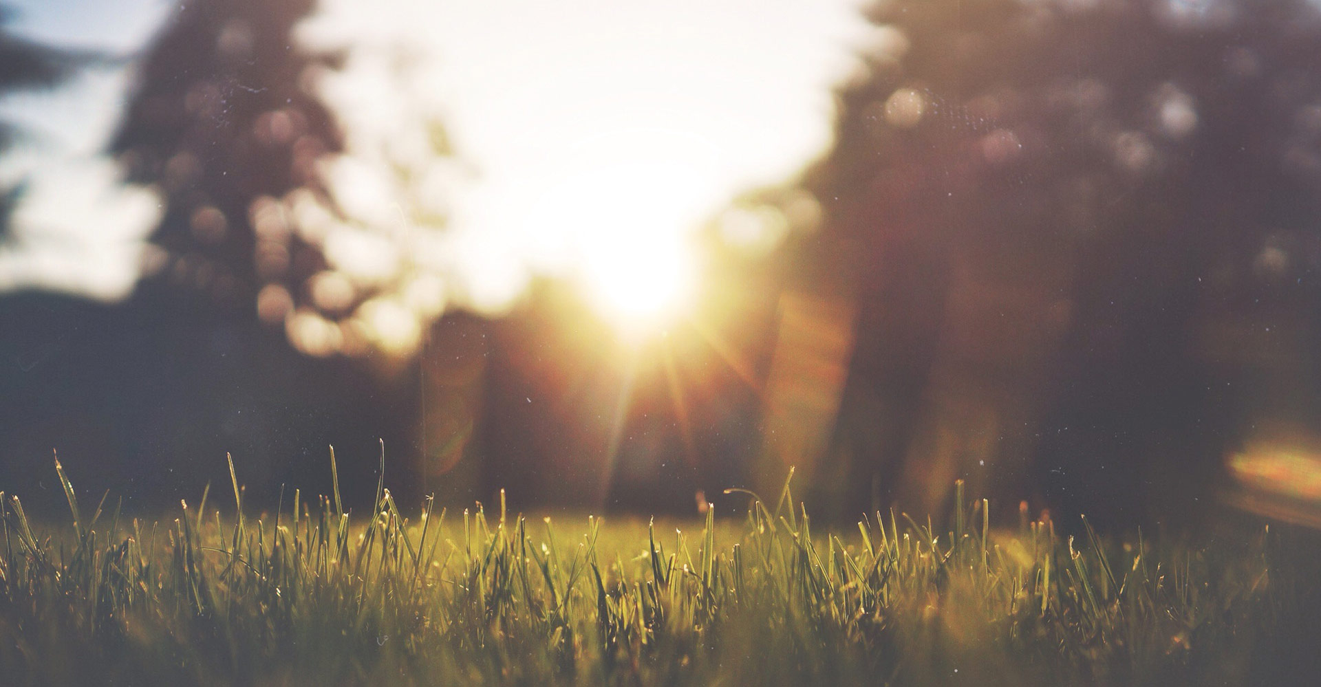 triloka的个人主页（背景预览） - 主页背景设置 - 站酷设计师triloka原创素材 - 站酷ZCOOL