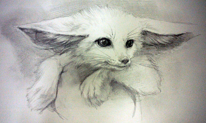 啊嗚0825的個(gè)人主頁（背景預(yù)覽） - 主頁背景設(shè)置 - 站酷設(shè)計(jì)師啊嗚0825原創(chuàng)素材 - 站酷ZCOOL