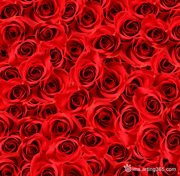 麯意風(fēng)華的個(gè)人主頁(yè)（背景預(yù)覽） - 主頁(yè)背景設(shè)置 - 站酷設(shè)計(jì)師麯意風(fēng)華原創(chuàng)素材 - 站酷ZCOOL