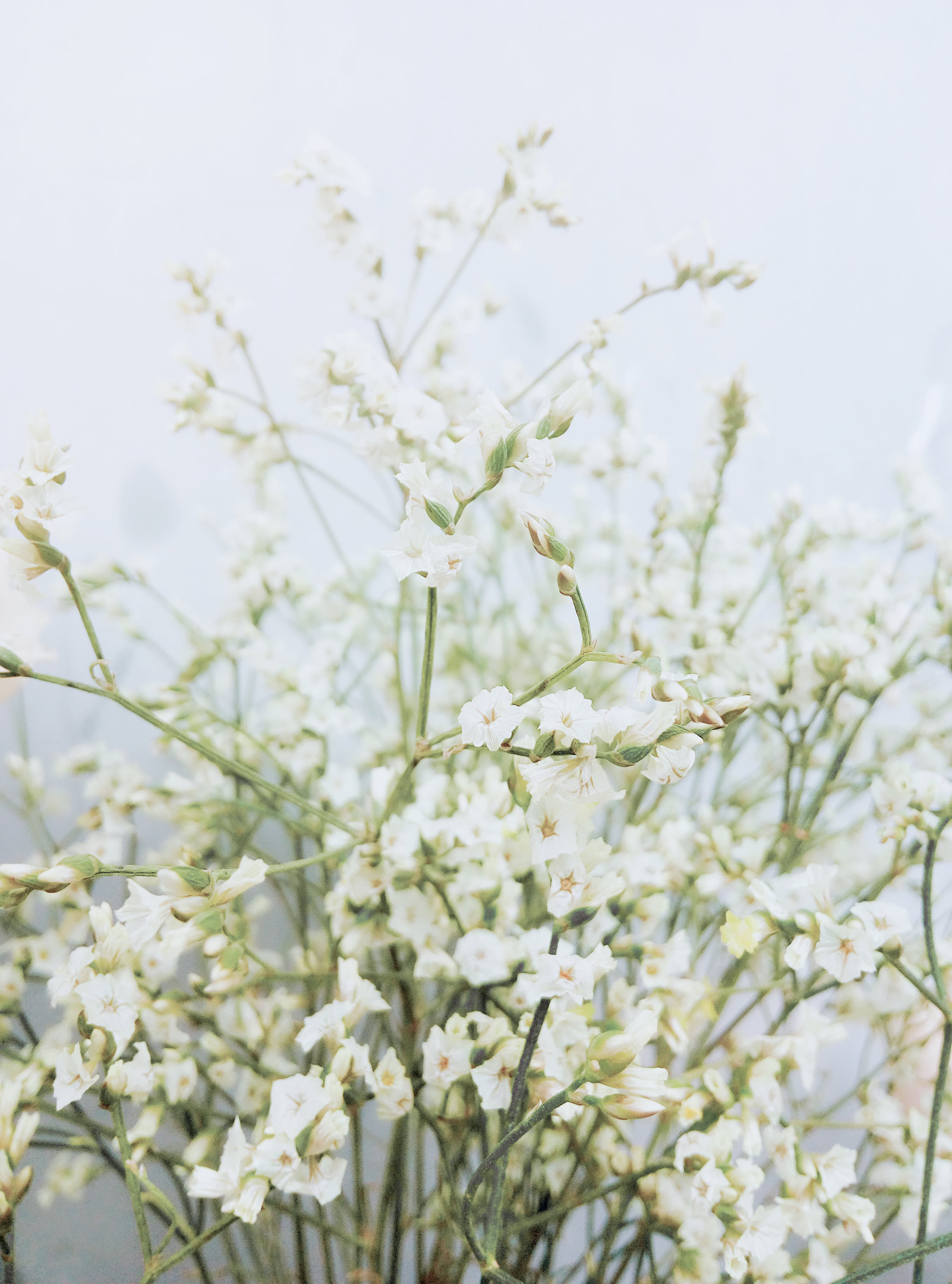 追逐一切的個(gè)人主頁(yè)（背景預(yù)覽） - 主頁(yè)背景設(shè)置 - 站酷設(shè)計(jì)師追逐一切原創(chuàng)素材 - 站酷ZCOOL