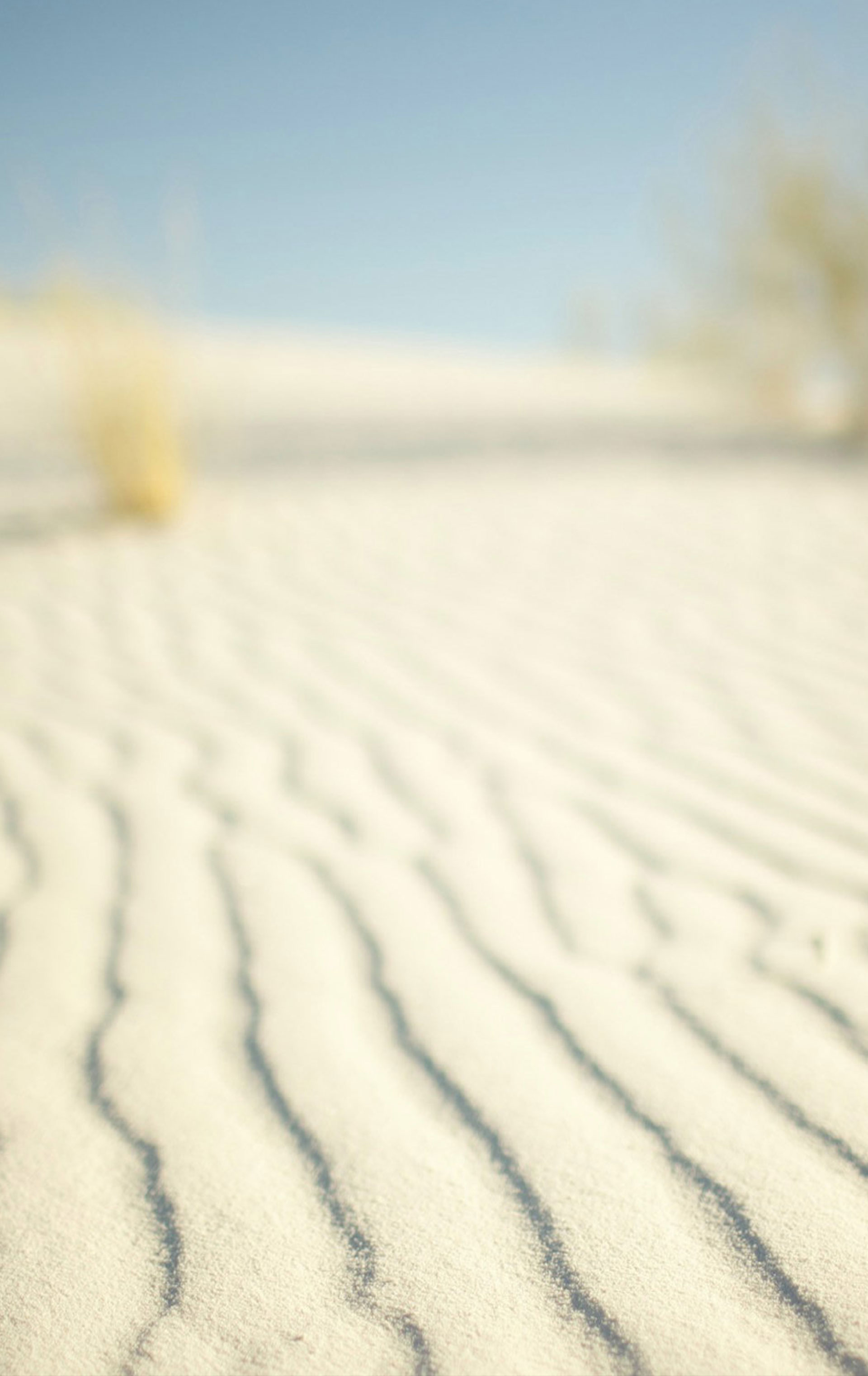 PuppeT3T的個人主頁（背景預(yù)覽） - 主頁背景設(shè)置 - 站酷設(shè)計師PuppeT3T原創(chuàng)素材 - 站酷ZCOOL