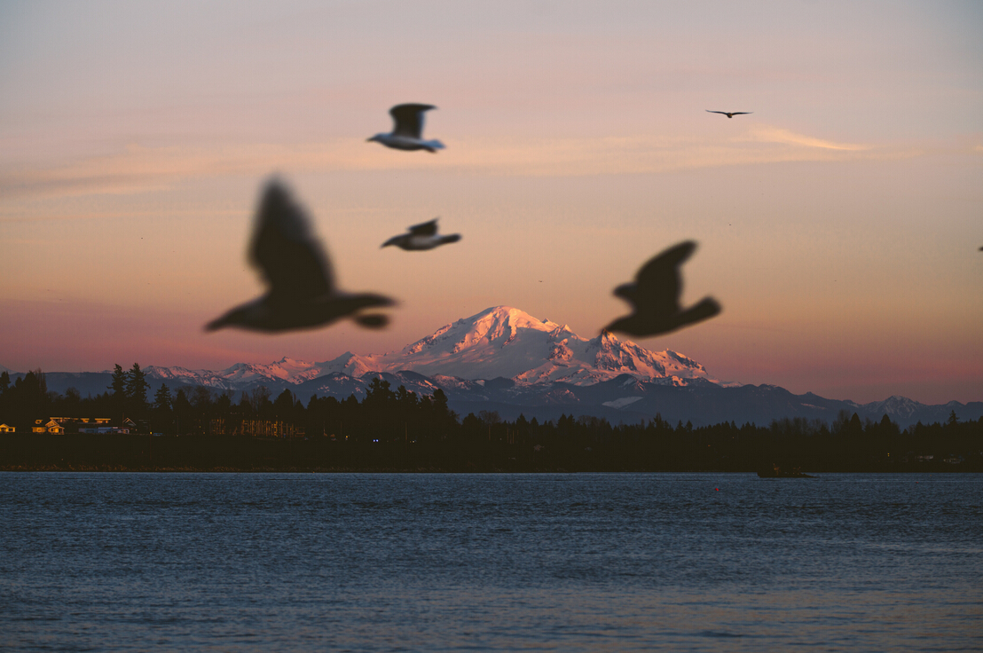 赵birong的个人主页（背景预览） - 主页背景设置 - 站酷设计师赵birong原创素材 - 站酷ZCOOL