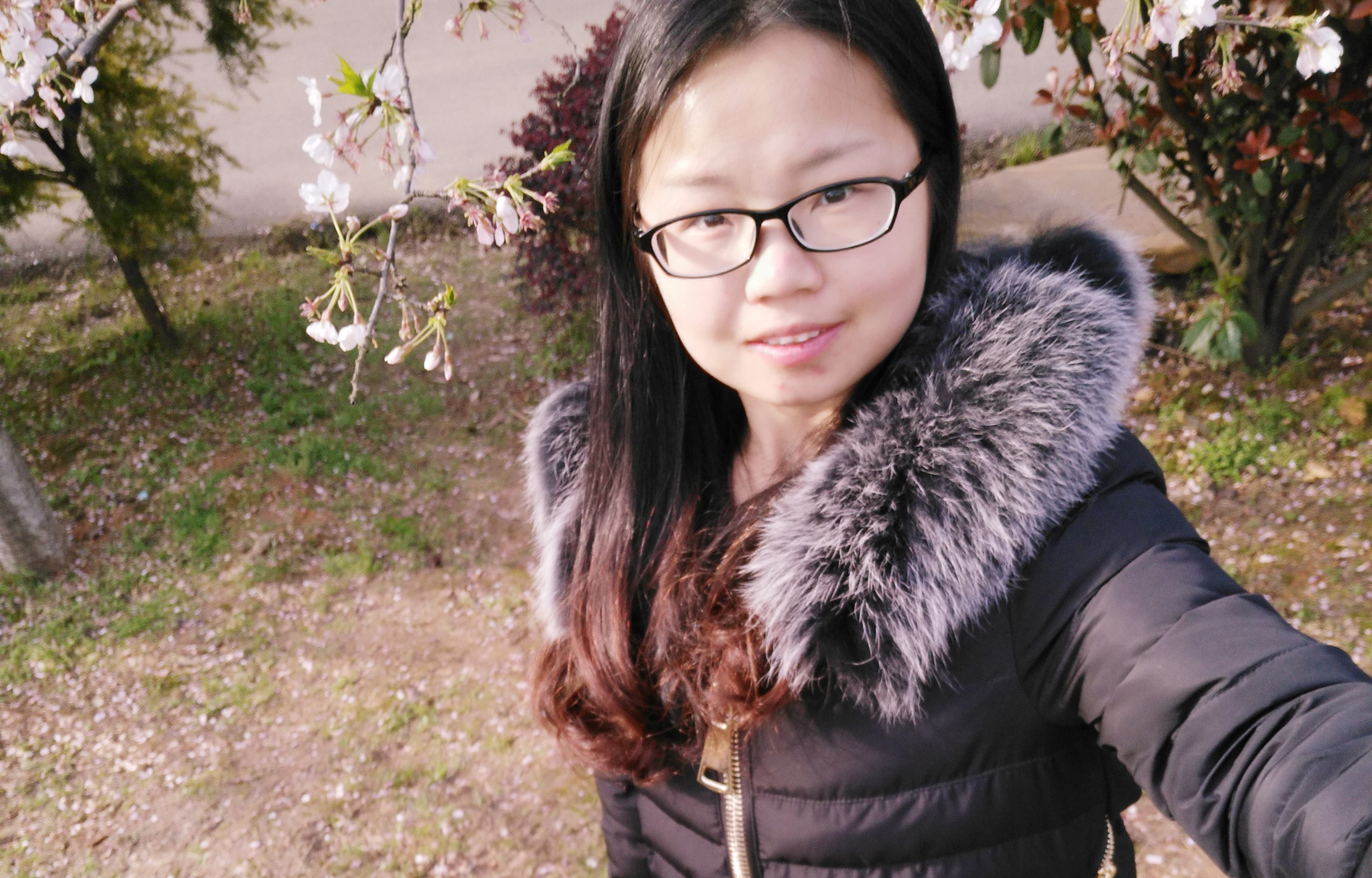 骑着蚊子逛街的个人主页（背景预览） - 主页背景设置 - 站酷设计师骑着蚊子逛街原创素材 - 站酷ZCOOL