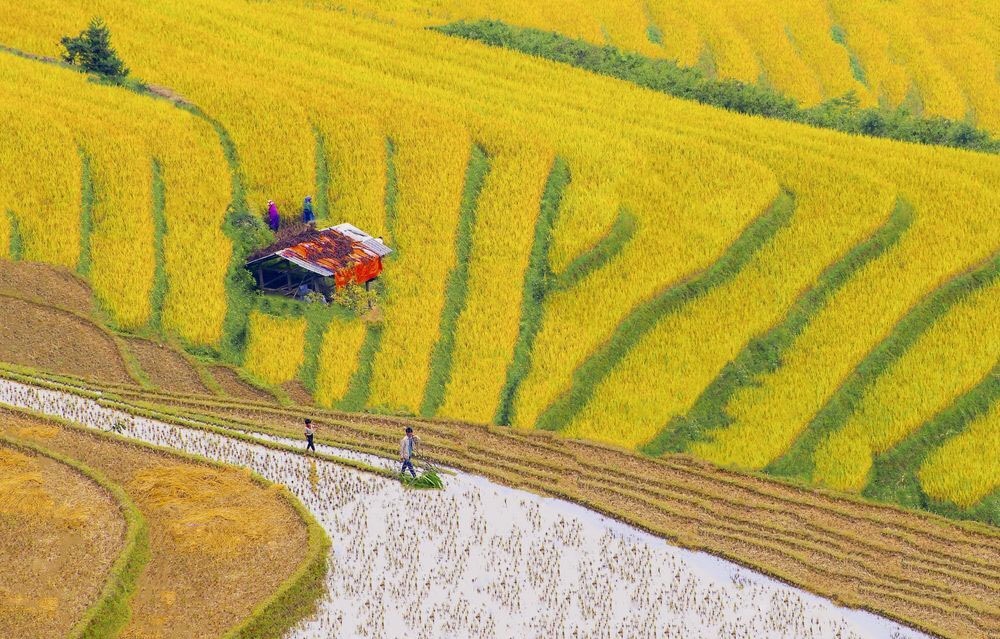 白小树的个人主页（背景预览） - 主页背景设置 - 站酷设计师白小树原创素材 - 站酷ZCOOL