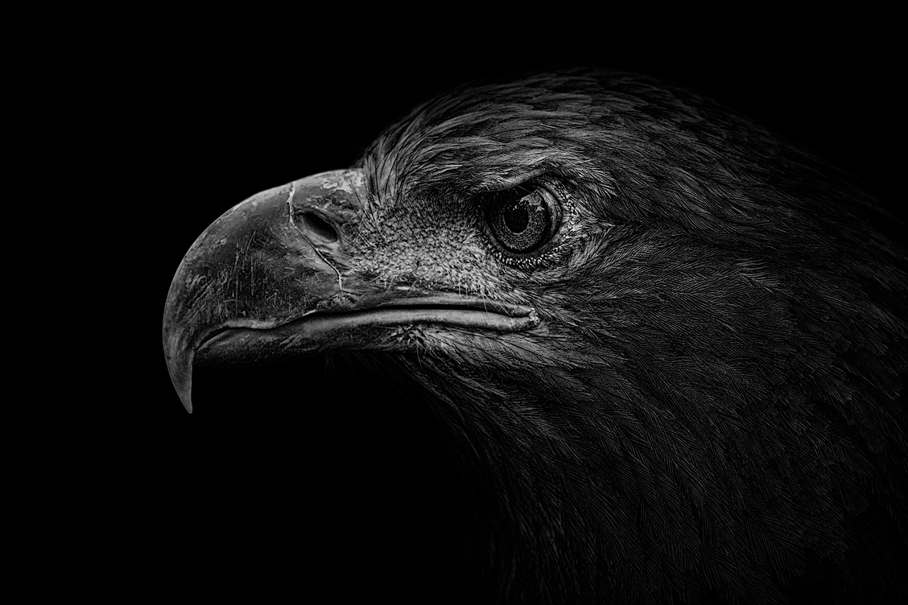 飲一壺濁酒的個(gè)人主頁(yè)（背景預(yù)覽） - 主頁(yè)背景設(shè)置 - 站酷設(shè)計(jì)師飲一壺濁酒原創(chuàng)素材 - 站酷ZCOOL