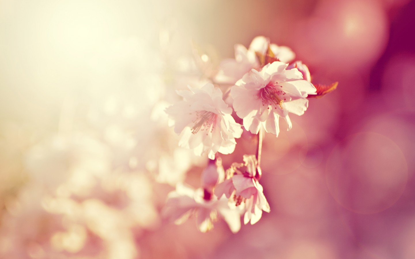 embrace佳的个人主页（背景预览） - 主页背景设置 - 站酷设计师embrace佳原创素材 - 站酷ZCOOL