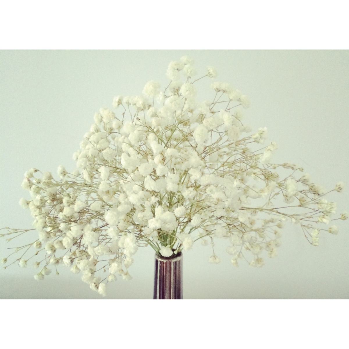 潘梨子的个人主页（背景预览） - 主页背景设置 - 站酷设计师潘梨子原创素材 - 站酷ZCOOL