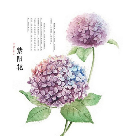 1069602612的个人主页（背景预览） - 主页背景设置 - 站酷设计师1069602612原创素材 - 站酷ZCOOL