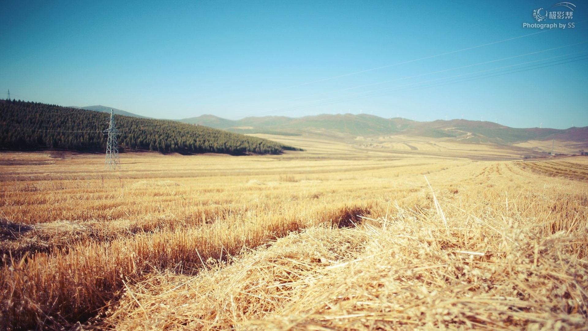 暴走de馒头的个人主页（背景预览） - 主页背景设置 - 站酷设计师暴走de馒头原创素材 - 站酷ZCOOL