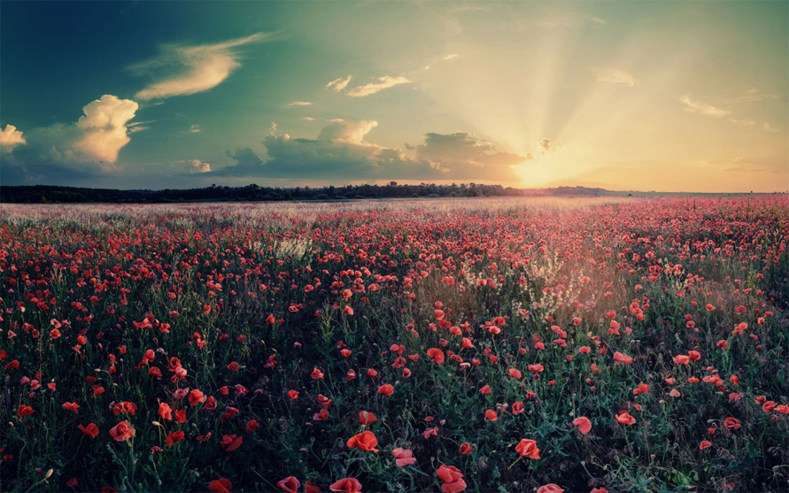 感嘆號(hào)小姐的個(gè)人主頁(yè)（背景預(yù)覽） - 主頁(yè)背景設(shè)置 - 站酷設(shè)計(jì)師感嘆號(hào)小姐原創(chuàng)素材 - 站酷ZCOOL