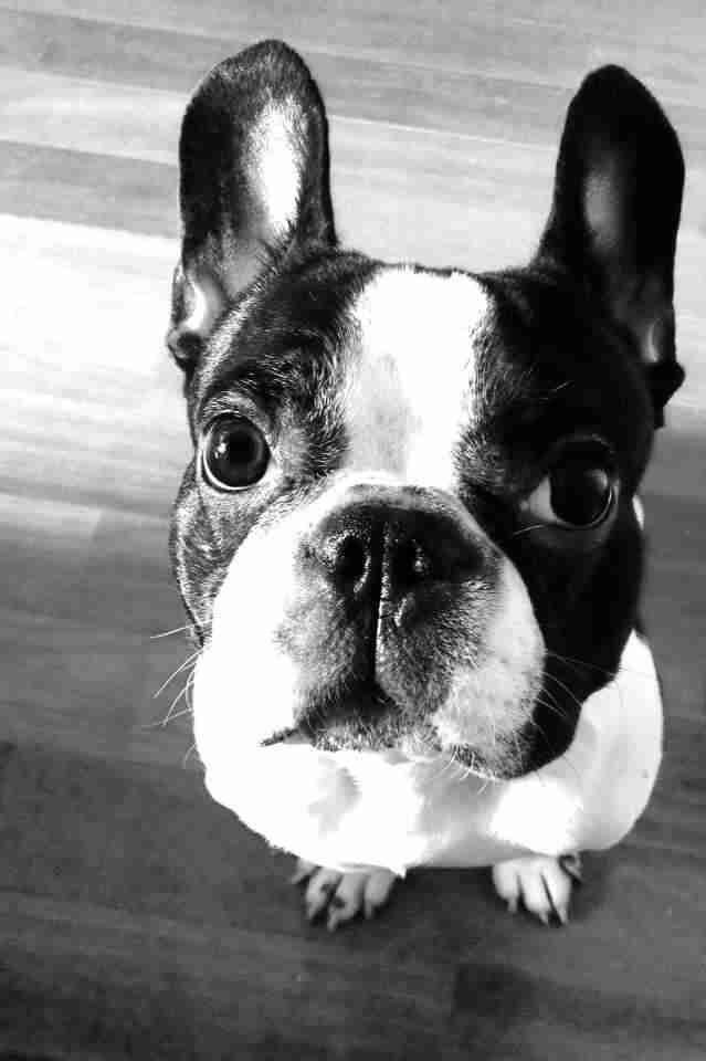 SoulSole的個(gè)人主頁(yè)（背景預(yù)覽） - 主頁(yè)背景設(shè)置 - 站酷設(shè)計(jì)師SoulSole原創(chuàng)素材 - 站酷ZCOOL