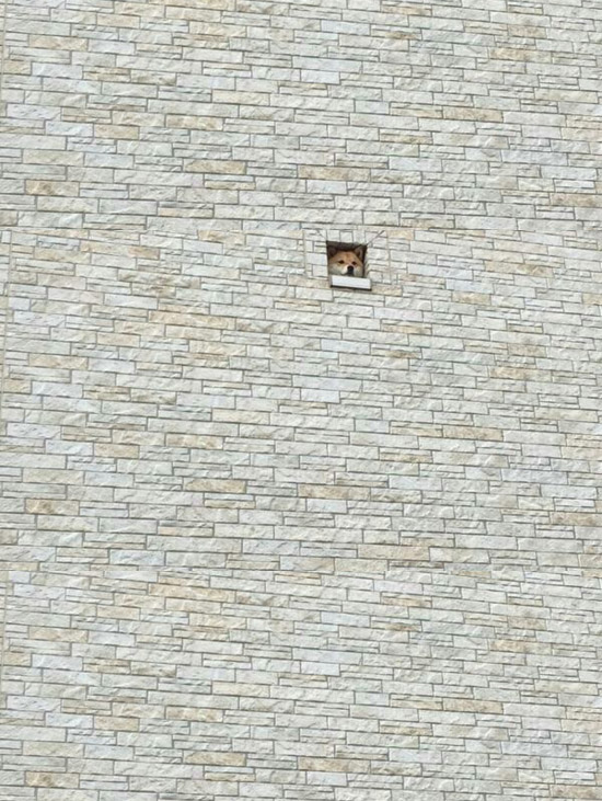 孫得智手指天下的個人主頁（背景預(yù)覽） - 主頁背景設(shè)置 - 站酷設(shè)計師孫得智手指天下原創(chuàng)素材 - 站酷ZCOOL