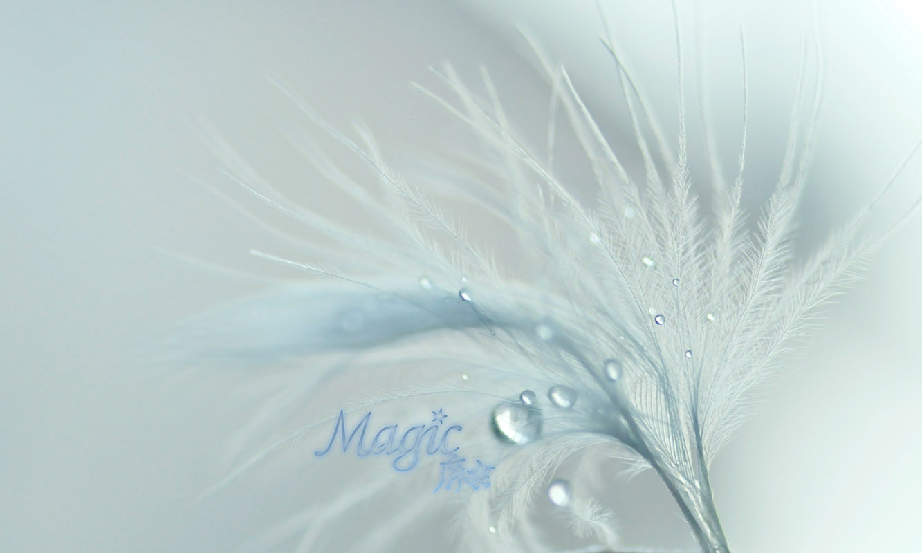 Magic_Tears的个人主页（背景预览） - 主页背景设置 - 站酷设计师Magic_Tears原创素材 - 站酷ZCOOL