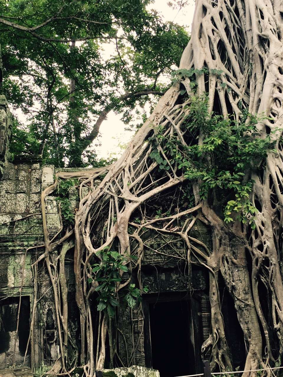 diobrando的個(gè)人主頁(yè)（背景預(yù)覽） - 主頁(yè)背景設(shè)置 - 站酷設(shè)計(jì)師diobrando原創(chuàng)素材 - 站酷ZCOOL