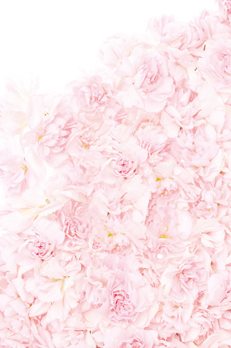 老年广场舞大妈的个人主页（背景预览） - 主页背景设置 - 站酷设计师老年广场舞大妈原创素材 - 站酷ZCOOL