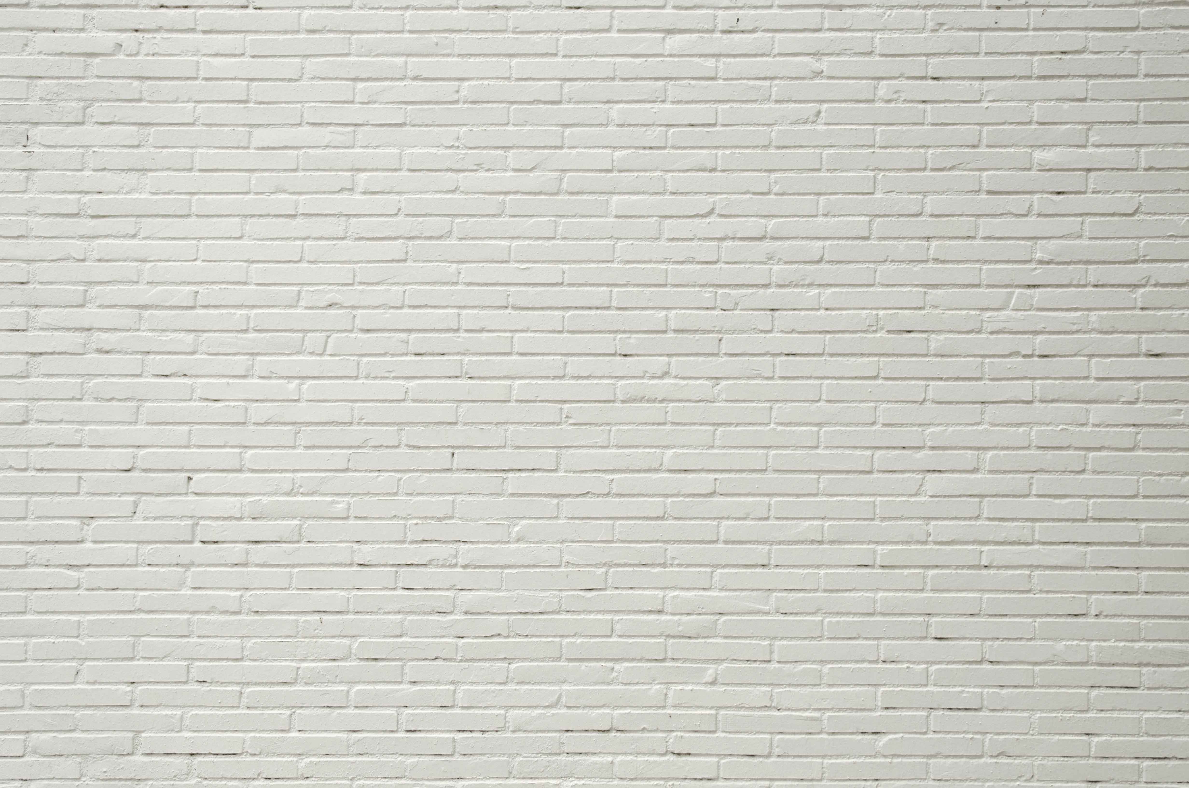 女戰(zhàn)士的個(gè)人主頁（背景預(yù)覽） - 主頁背景設(shè)置 - 站酷設(shè)計(jì)師女戰(zhàn)士原創(chuàng)素材 - 站酷ZCOOL