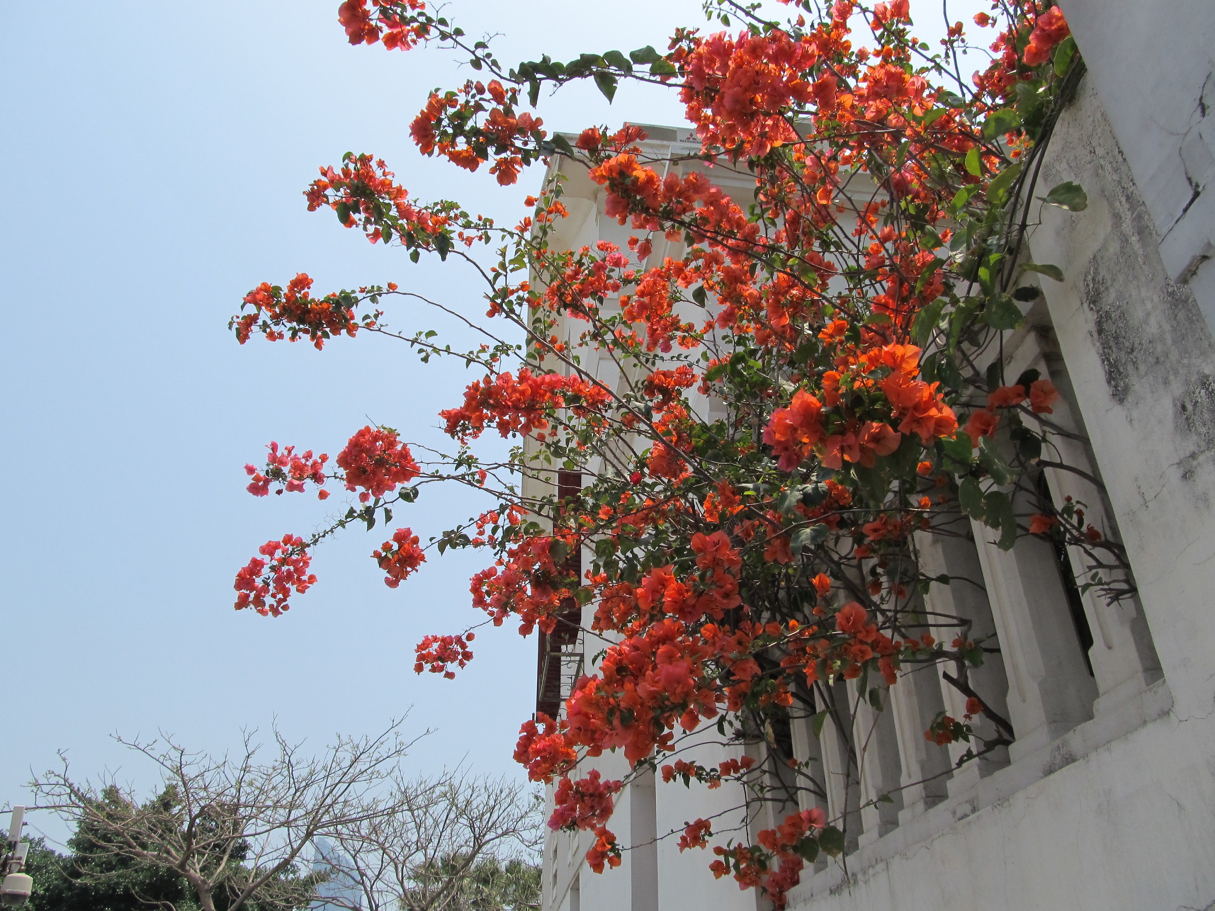 Loe蝸牛的個(gè)人主頁(yè)（背景預(yù)覽） - 主頁(yè)背景設(shè)置 - 站酷設(shè)計(jì)師Loe蝸牛原創(chuàng)素材 - 站酷ZCOOL