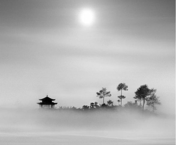 奔跑在草原的鹿的个人主页（背景预览） - 主页背景设置 - 站酷设计师奔跑在草原的鹿原创素材 - 站酷ZCOOL