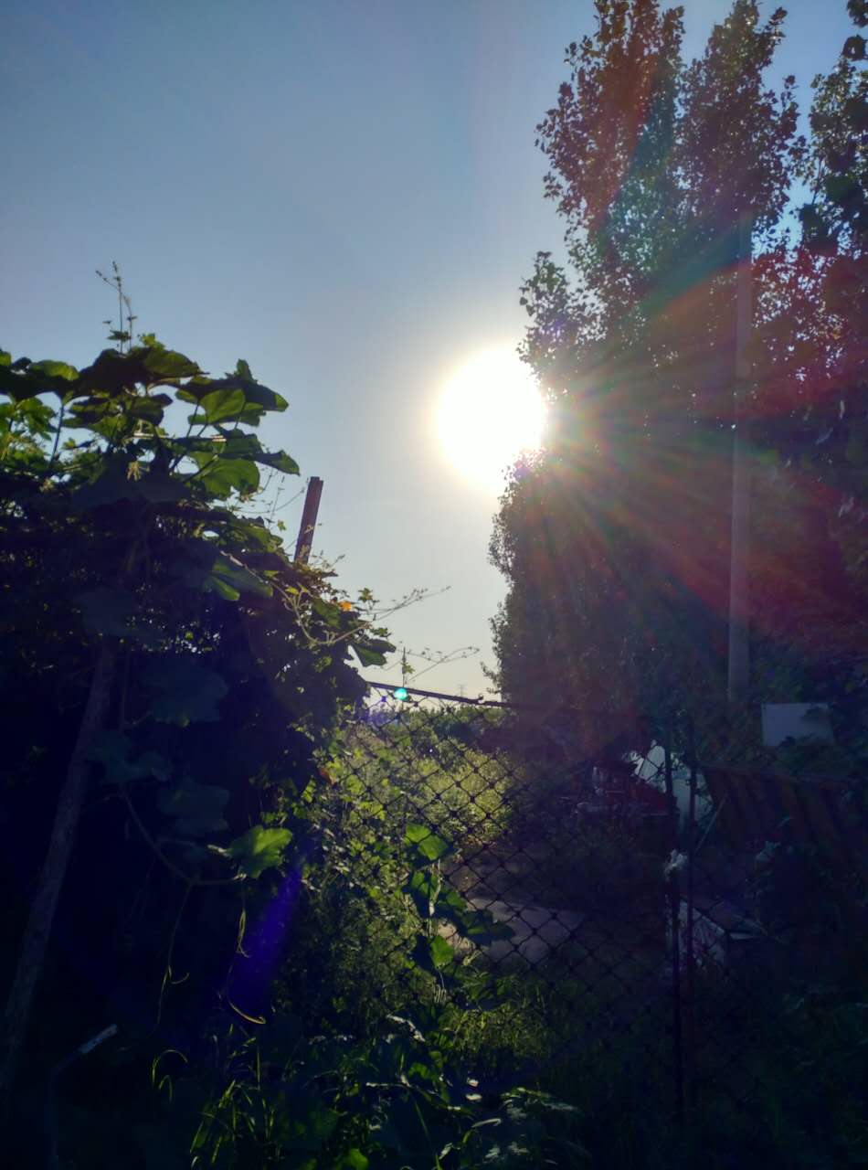 SHINE1115的個(gè)人主頁（背景預(yù)覽） - 主頁背景設(shè)置 - 站酷設(shè)計(jì)師SHINE1115原創(chuàng)素材 - 站酷ZCOOL