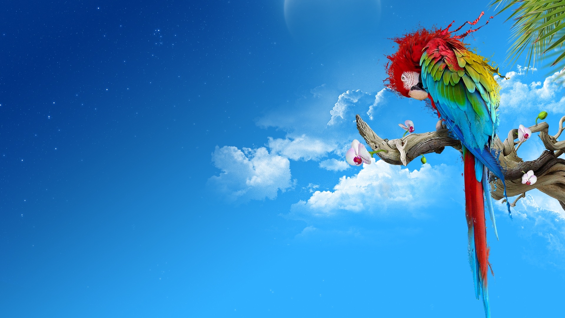 hm_m的個(gè)人主頁(yè)（背景預(yù)覽） - 主頁(yè)背景設(shè)置 - 站酷設(shè)計(jì)師hm_m原創(chuàng)素材 - 站酷ZCOOL