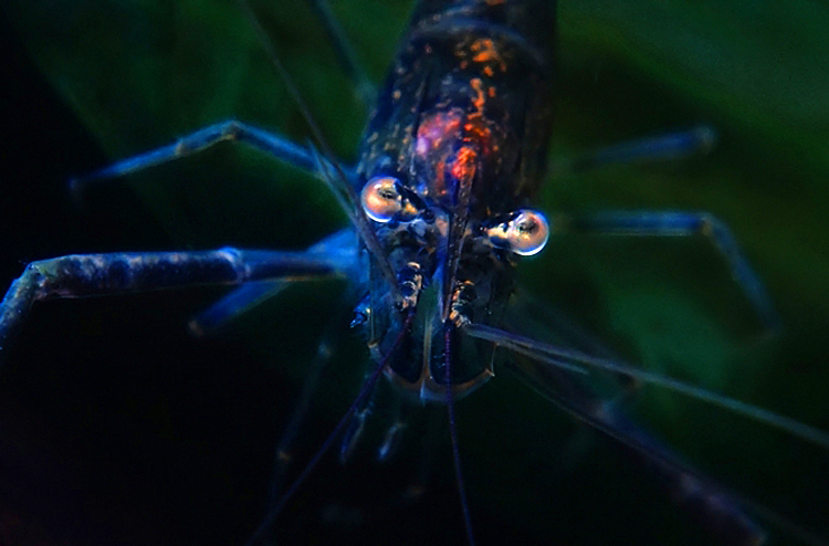 亿万布衣科维奇的个人主页（背景预览） - 主页背景设置 - 站酷设计师亿万布衣科维奇原创素材 - 站酷ZCOOL
