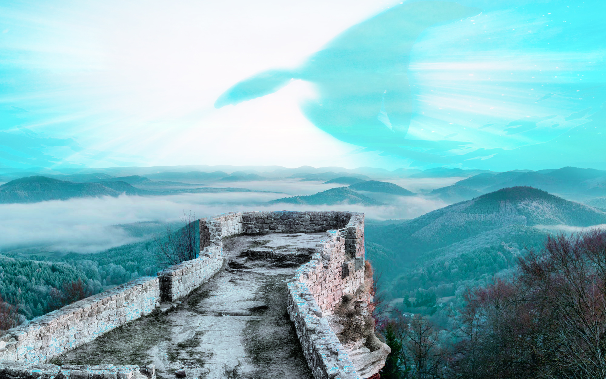 洋葱七的个人主页（背景预览） - 主页背景设置 - 站酷设计师洋葱七原创素材 - 站酷ZCOOL
