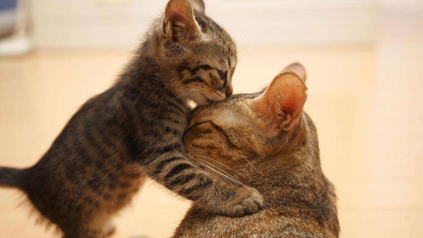 温情的收藏夹 - 站酷 (zcool)