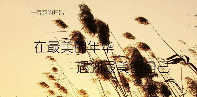 老楊在這里的個人主頁（背景預覽） - 主頁背景設置 - 站酷設計師老楊在這里原創(chuàng)素材 - 站酷ZCOOL