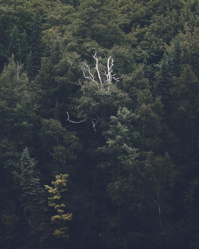 600-cool的个人主页（背景预览） - 主页背景设置 - 站酷设计师600-cool原创素材 - 站酷ZCOOL