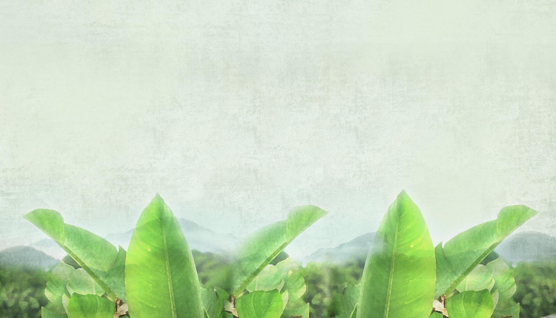 酷选手的个人主页（背景预览） - 主页背景设置 - 站酷设计师酷选手原创素材 - 站酷ZCOOL