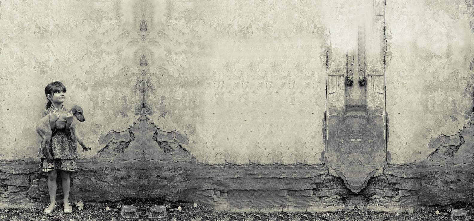 贰道坎子的个人主页（背景预览） - 主页背景设置 - 站酷设计师贰道坎子原创素材 - 站酷ZCOOL