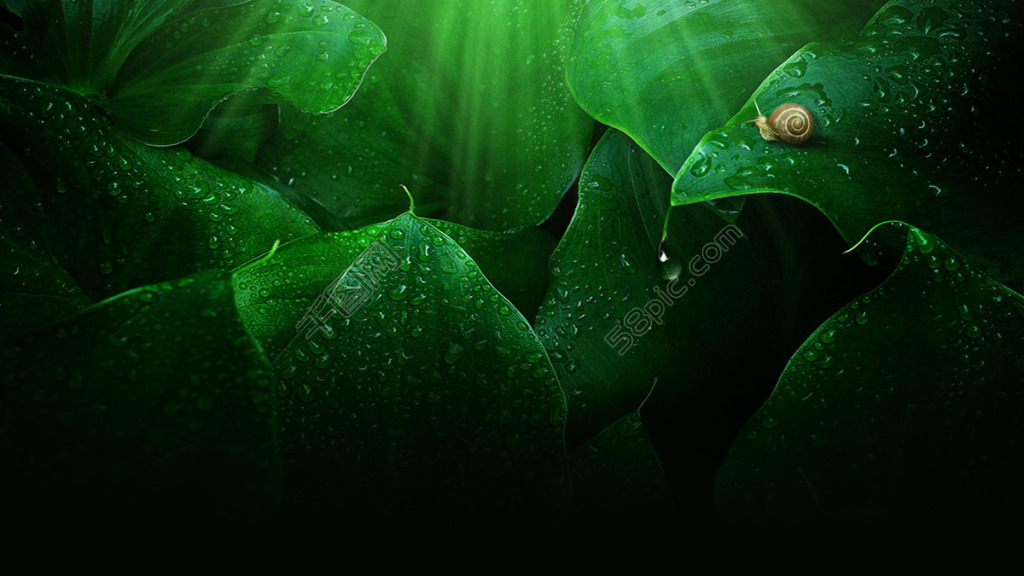 林春香的个人主页（背景预览） - 主页背景设置 - 站酷设计师林春香原创素材 - 站酷ZCOOL