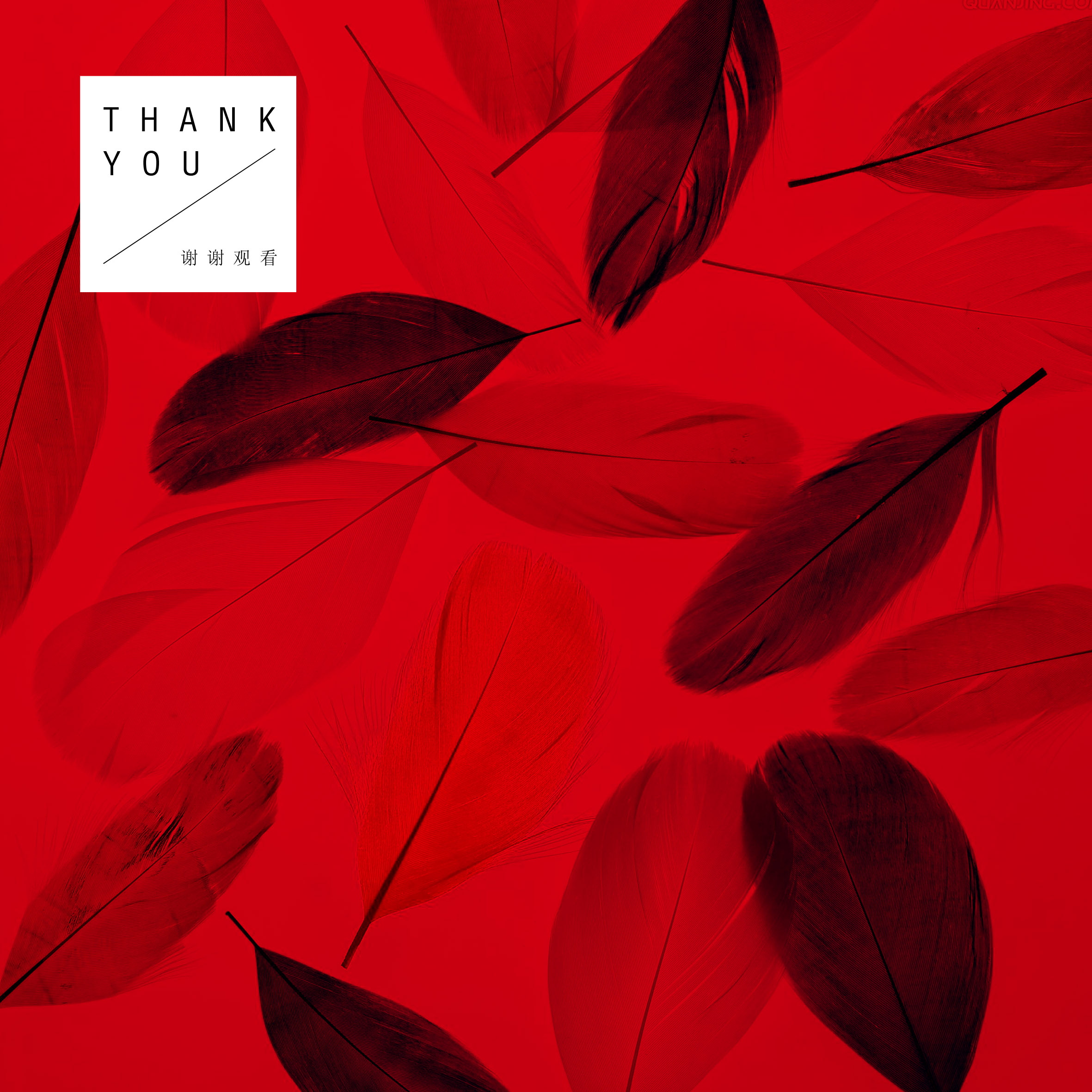 翔不會飛的個人主頁（背景預(yù)覽） - 主頁背景設(shè)置 - 站酷設(shè)計師翔不會飛原創(chuàng)素材 - 站酷ZCOOL