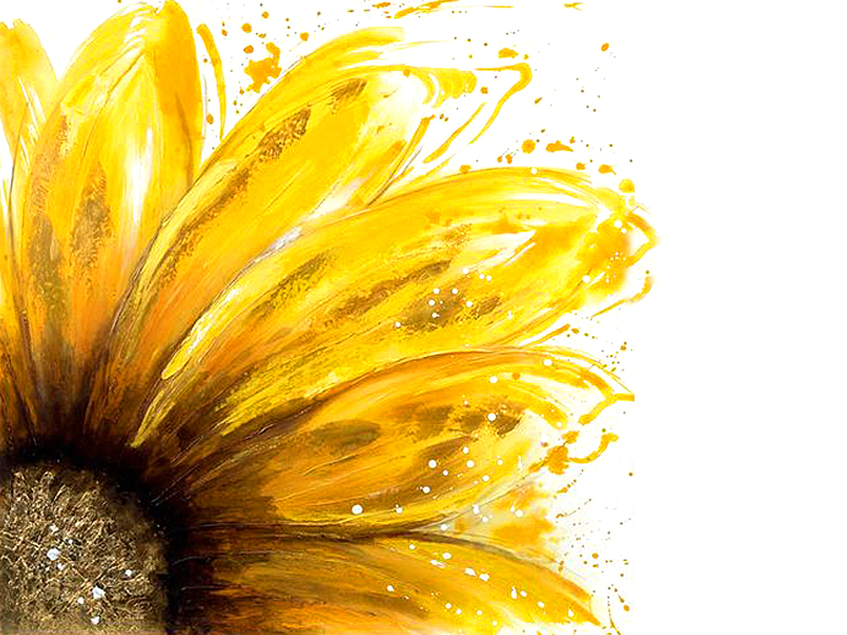 tanyawang的个人主页（背景预览） - 主页背景设置 - 站酷设计师tanyawang原创素材 - 站酷ZCOOL